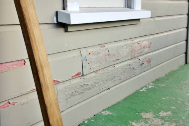 Affordable siding repair and maintenance services in Zebulon, GA